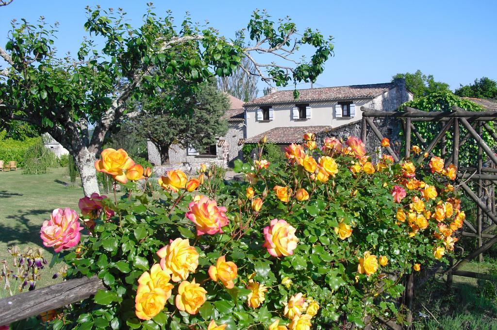 Luxury B&B Maison A Votre Sante, In Bordeaux Wine Region Savignac-de-Duras Exterior photo